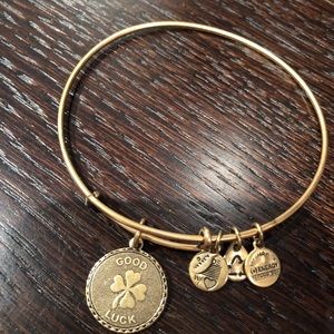 Alex and Ani charm bangle lucky